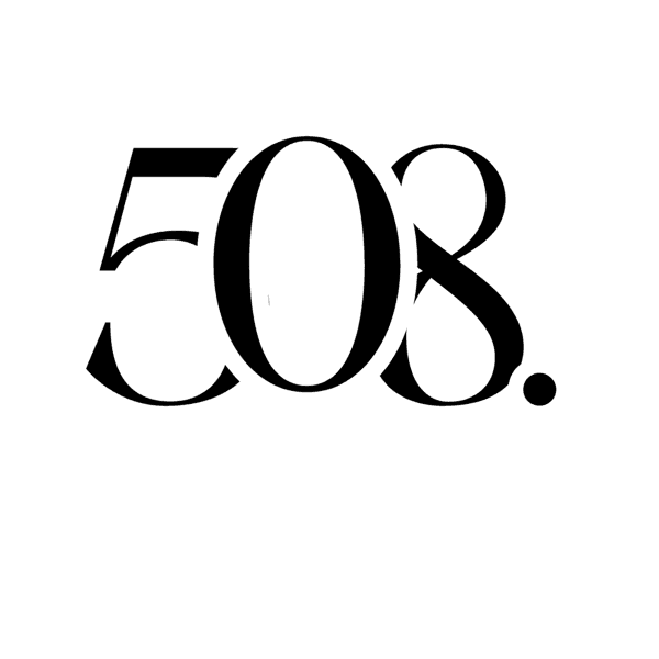 508 Logo